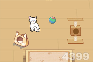 视觉+压缩双引擎驱动，度申科技...