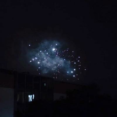 崔永元:向范冰冰致歉 “4天6000万合同”与她无关