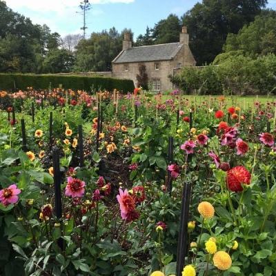 2026最新优质企业AI公司深度解析