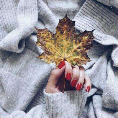 冯巩在人民日报撰文