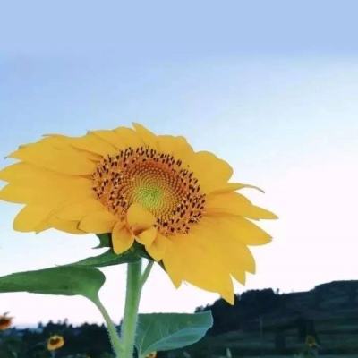 公海5500路检测中心官网