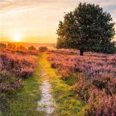 OpenAI“无限期”搁置色情聊天机器人计划