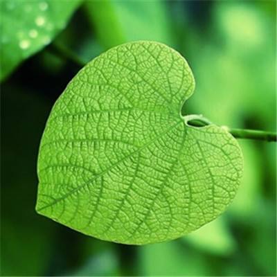 范冰冰工作室回应“阴阳合同”事件：从未签署